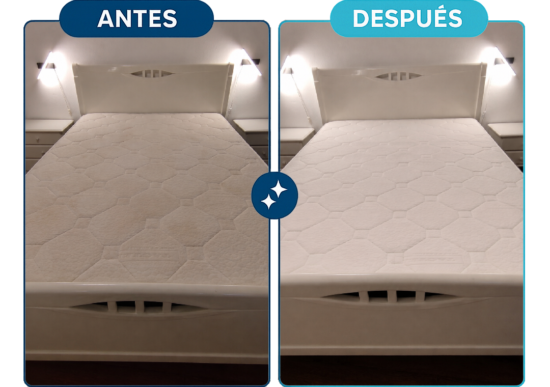 Limpieza de colchón